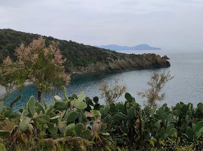 Διαμέρισμα Domus Tilla *